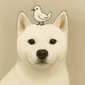 WIFPEACE